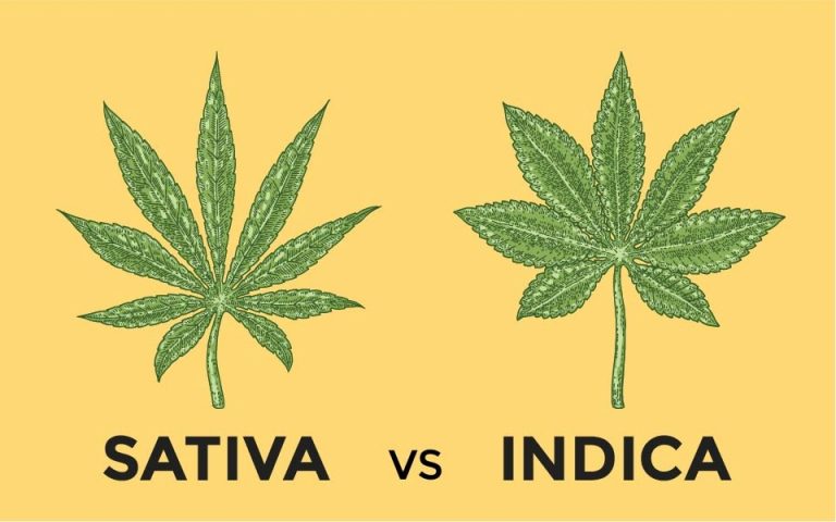 Hybrids Explained: Blending Indica and Sativa for Tailored Benefits